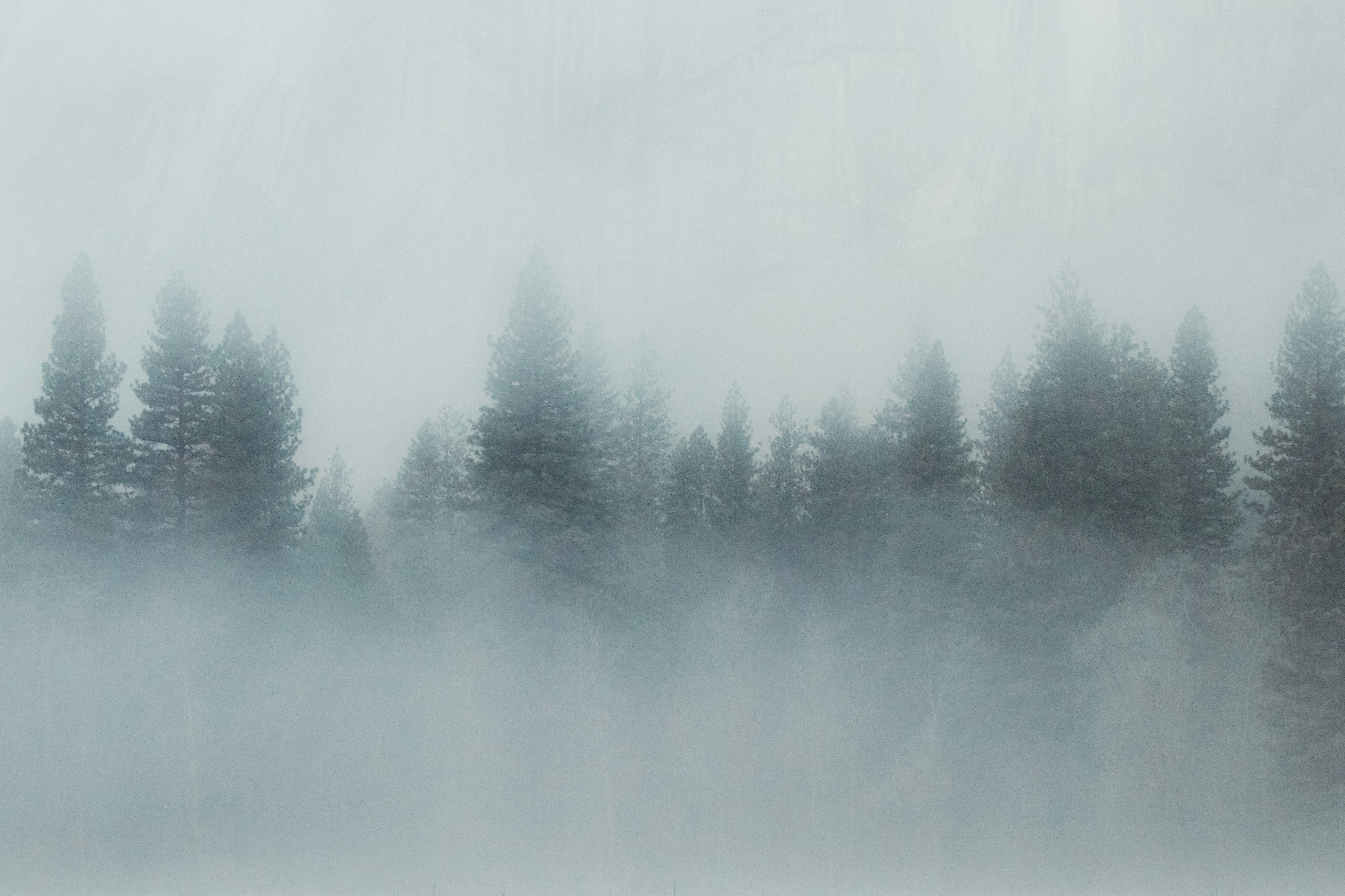 地方で自分らしく LO活 Local+就活